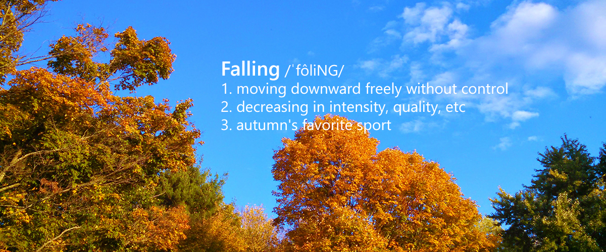 photo of fall sky with autumn foilage and text defintion of falling